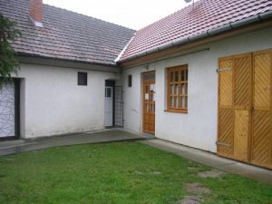 Cserénfa könyvtár