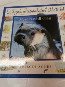 Telegdi Ágnes