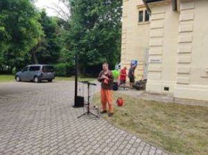 Orlik István
