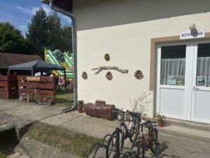 Ribizli bohóc